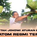 Ikuti Titah Jokowi Aturan Ekspor Kratom Resmi Terbit